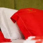 Chambre Enola (Suite Senior)